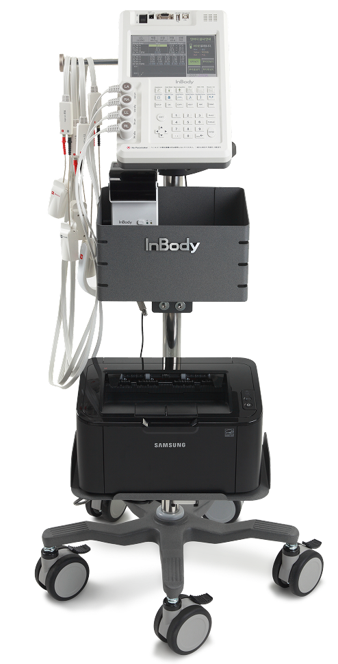 InBody S10
